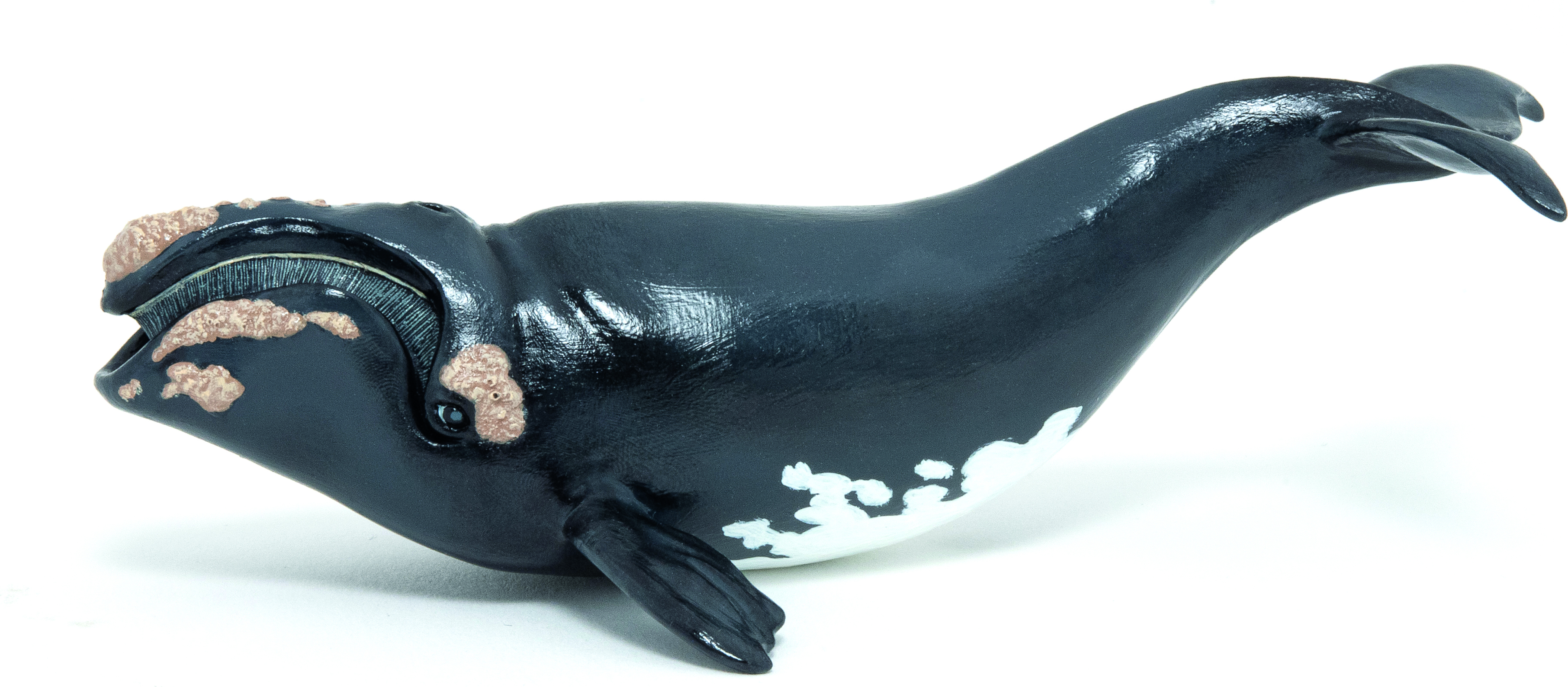 Papo 56057 Glattwal 13 cm Meerestiere