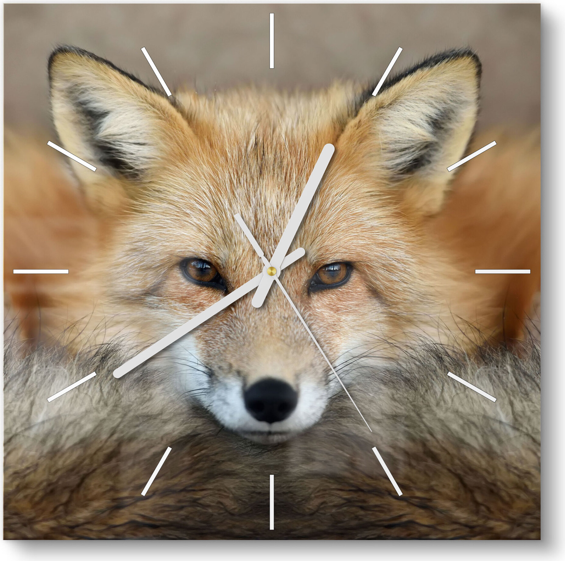 DEQORI Glasuhr 30x30 cm Modern 'Reineke, der Fuchs' Wanduhr Glas Uhr Design leise WC-30-30-M-1955