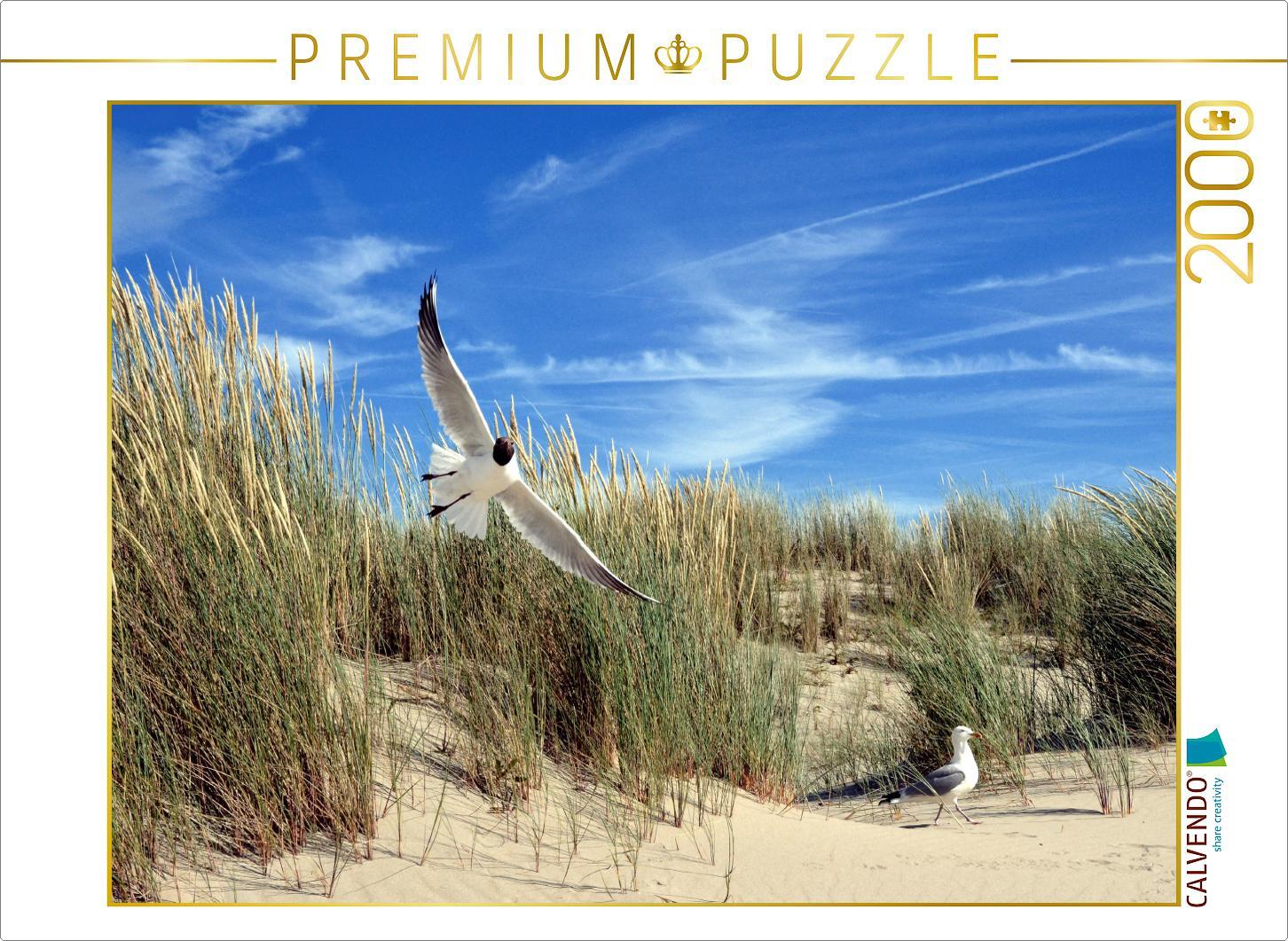 CALVENDO Puzzle Möwen und Seeschwalbe in einer Düne 2000 Teile Puzzle quer | 2000 Teile Lege-Größe 90x67cm Foto-Puzzle für glückliche Stunden