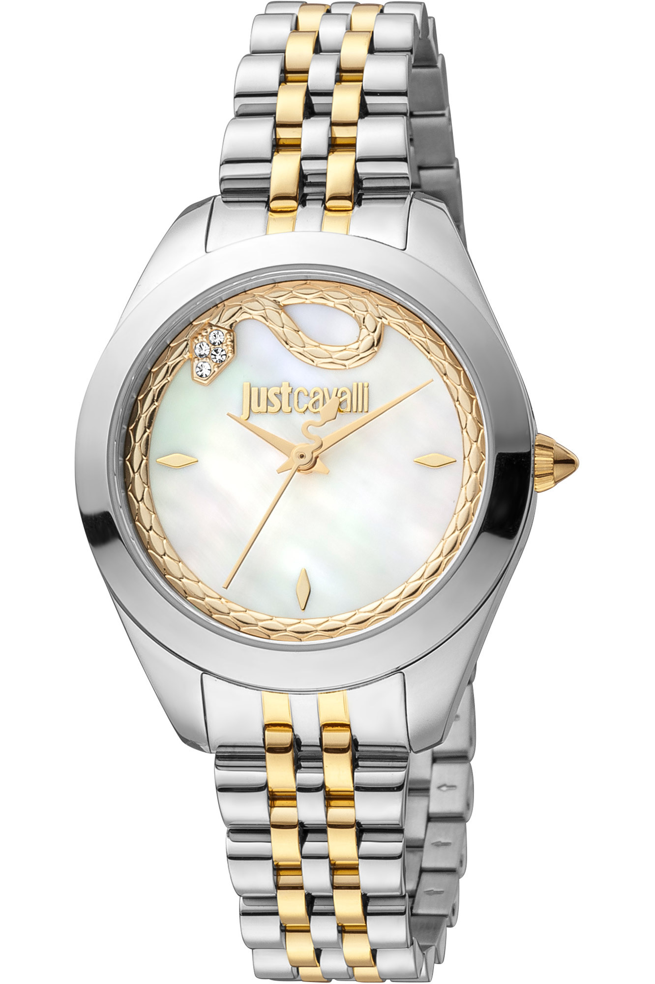 Dámské hodinky Just Cavalli JC1L210M0295