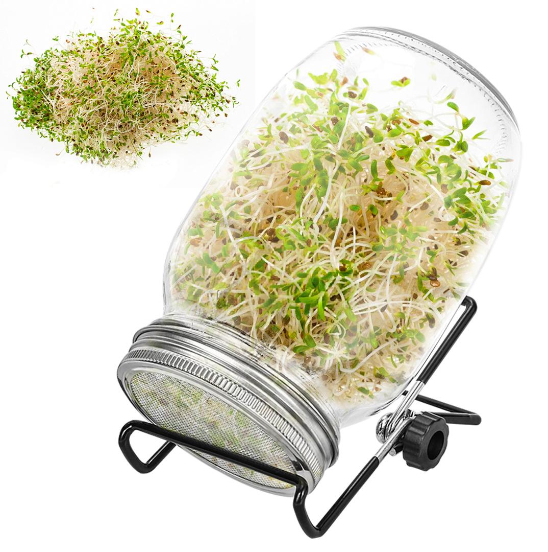 Ikodm 2x Sprossenglas Keimglas mit Deckel & Sieb Mit Abtropfschale Satz 2 Einstellbare Halterung Sprossen Keimgerät Pflanzenzuchtbehälter Keimbehälter Keimgerät Microgreens RL-HG7650-1-SAmqa