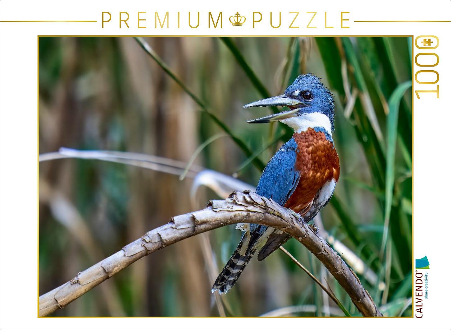 CALVENDO Puzzle Rotbrustfischer aus Costa Rica | 1000 Teile Lege-Größe 64x48cm Foto-Puzzle für glückliche Stunden