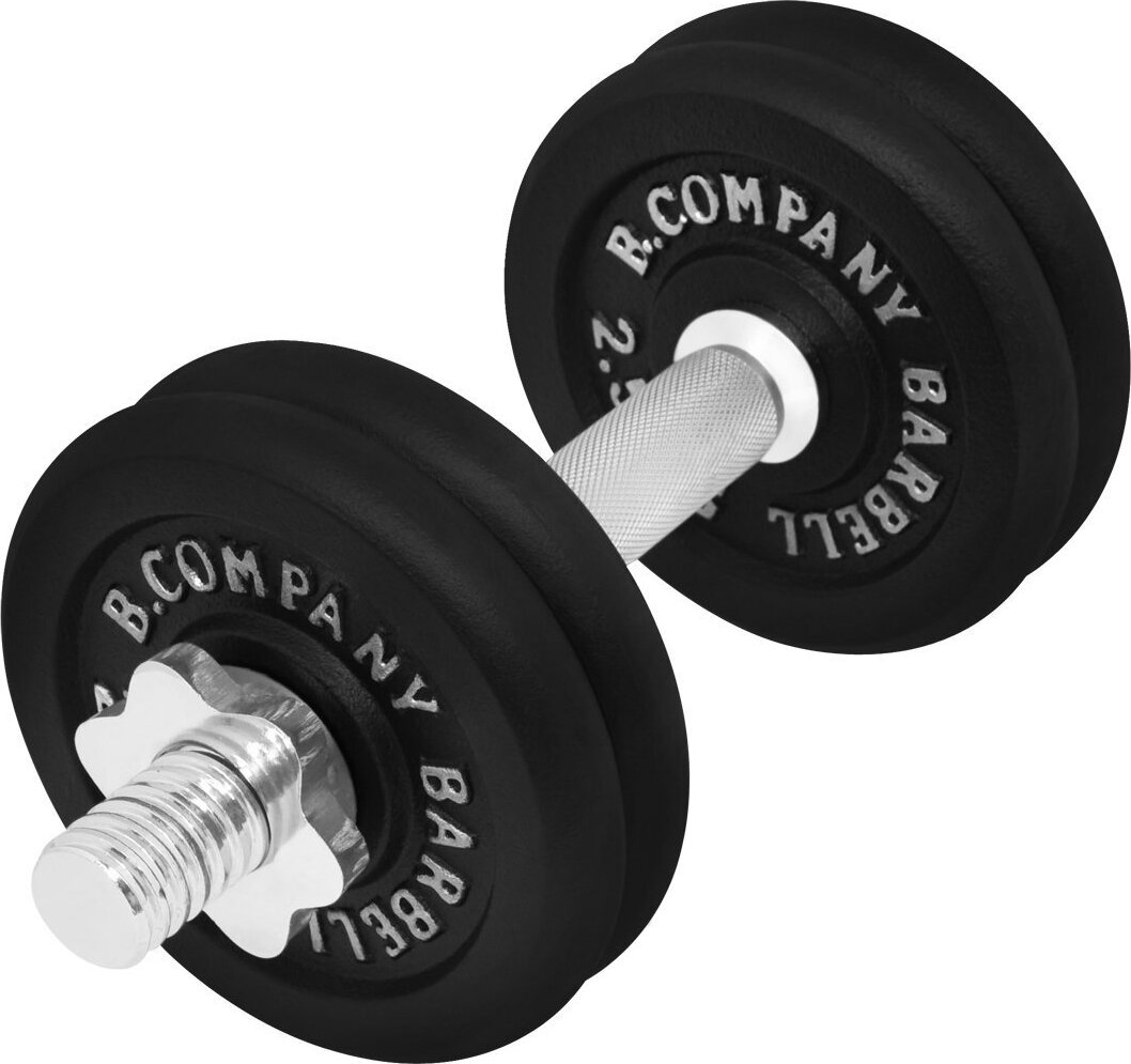 Bad Company Guss Kurzhantel-Set 12,5Kg Hantelscheiben Hantelset Hanteln
