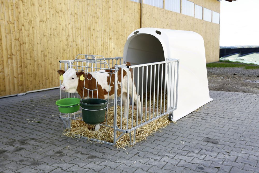 Kerbl CalfHouse Premium Plus ohne Umzäunung 14581