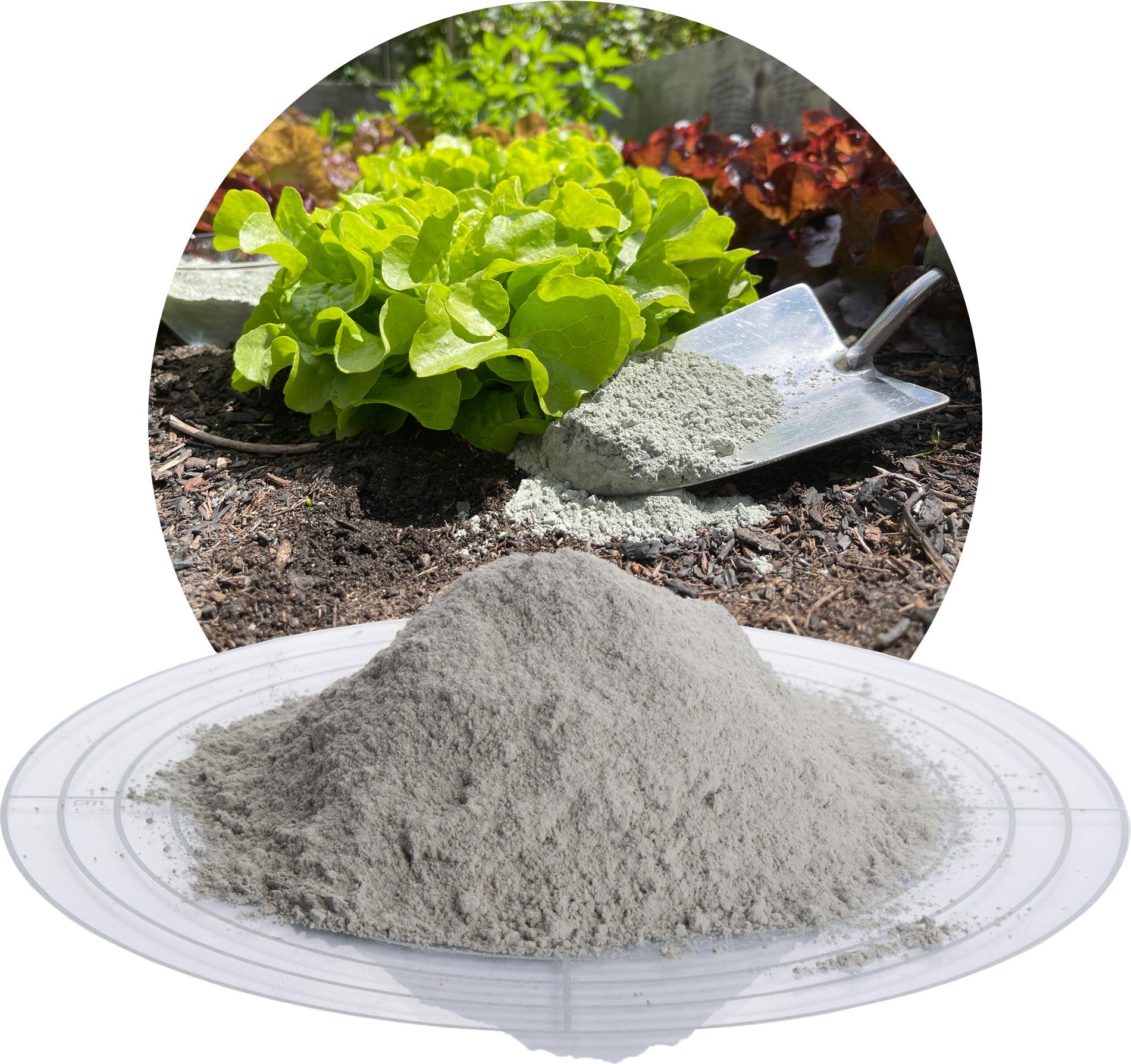 Steinlando Schicker Mineral-Diabas Urgesteinsmehl fein 2,5 kg