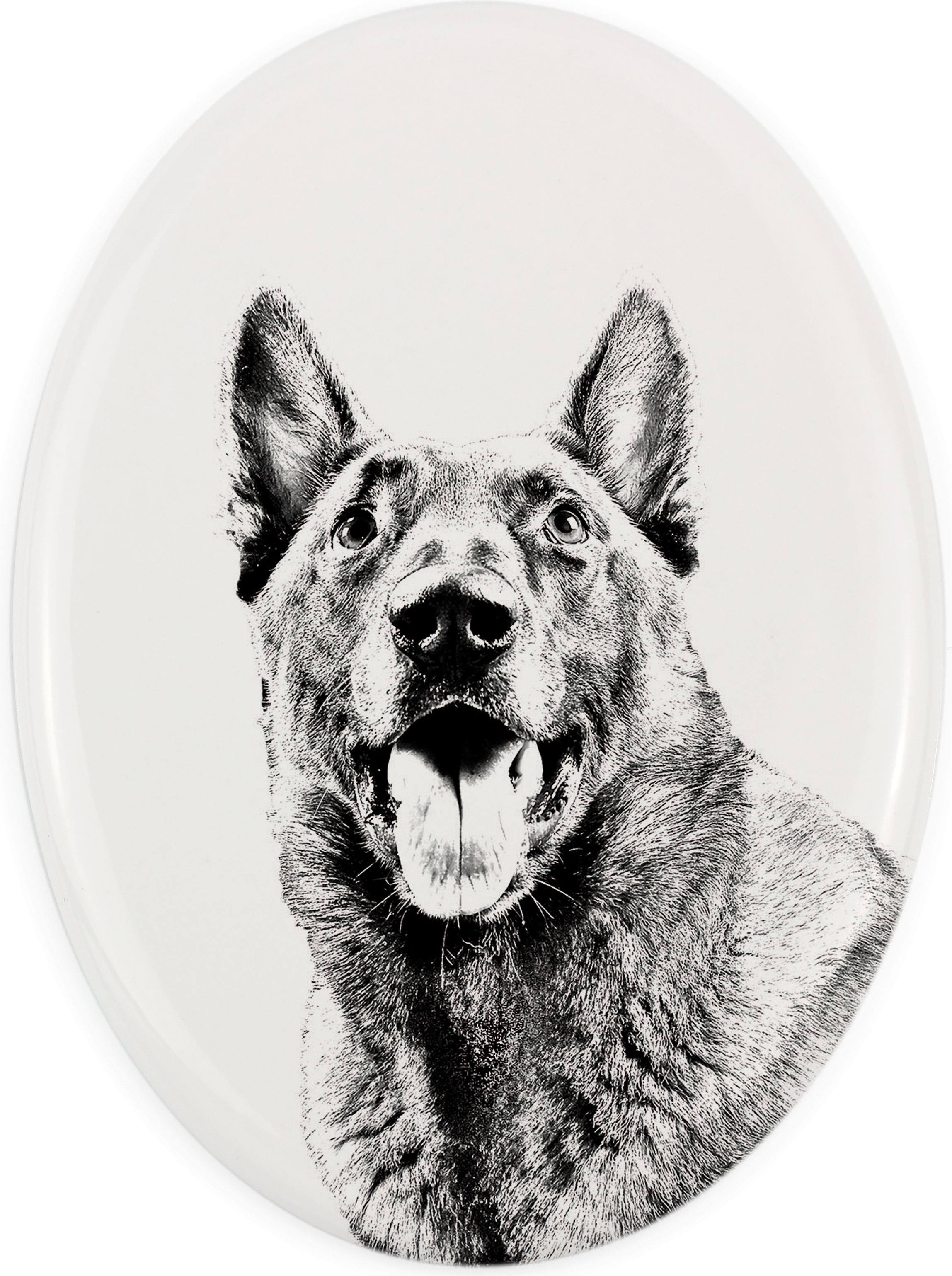 Neufundländer, Newfoundland - Gedenktafel mit einem Foto eines Hundes, Grabplatte mit Druck, personalisierte ovale Platte der Marke Art-Dog