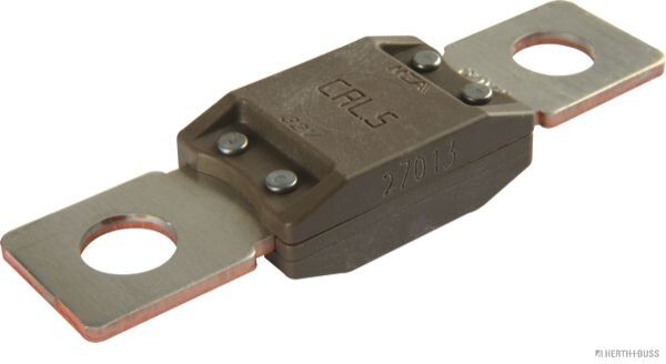 Sicherung HERTH+BUSS ELPARTS 50295845