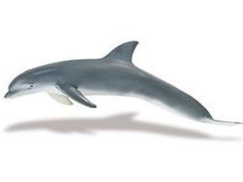 Safari Ltd 210802 Delphin 14 cm Serie Wassertiere