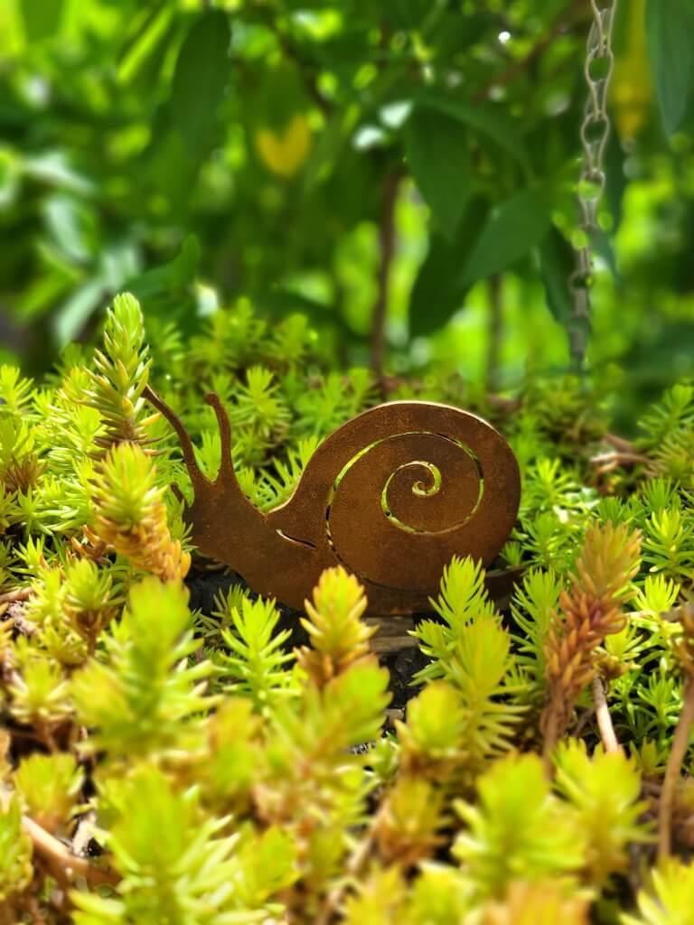 Saremo Edelrost Weinbergschnecke Edelrost Weinbergschnecke - klein