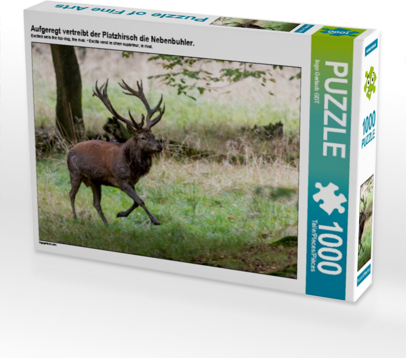 Calvendo Aufgeregt vertreibt der Platzhirsch die Nebenbuhler. 1000 Teile Puzzle quer 640x480mm, Gerlach GDT Ingo; 7317892