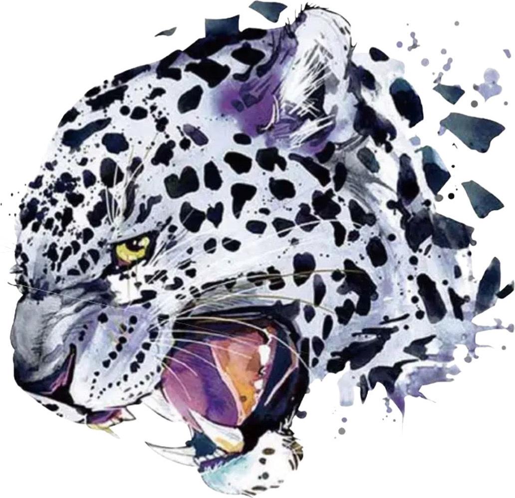 MegaMooi.nl Schneeleopard Schneeleopard XXL zum Aufbügeln in voller Farbe MEGAMOOI 001