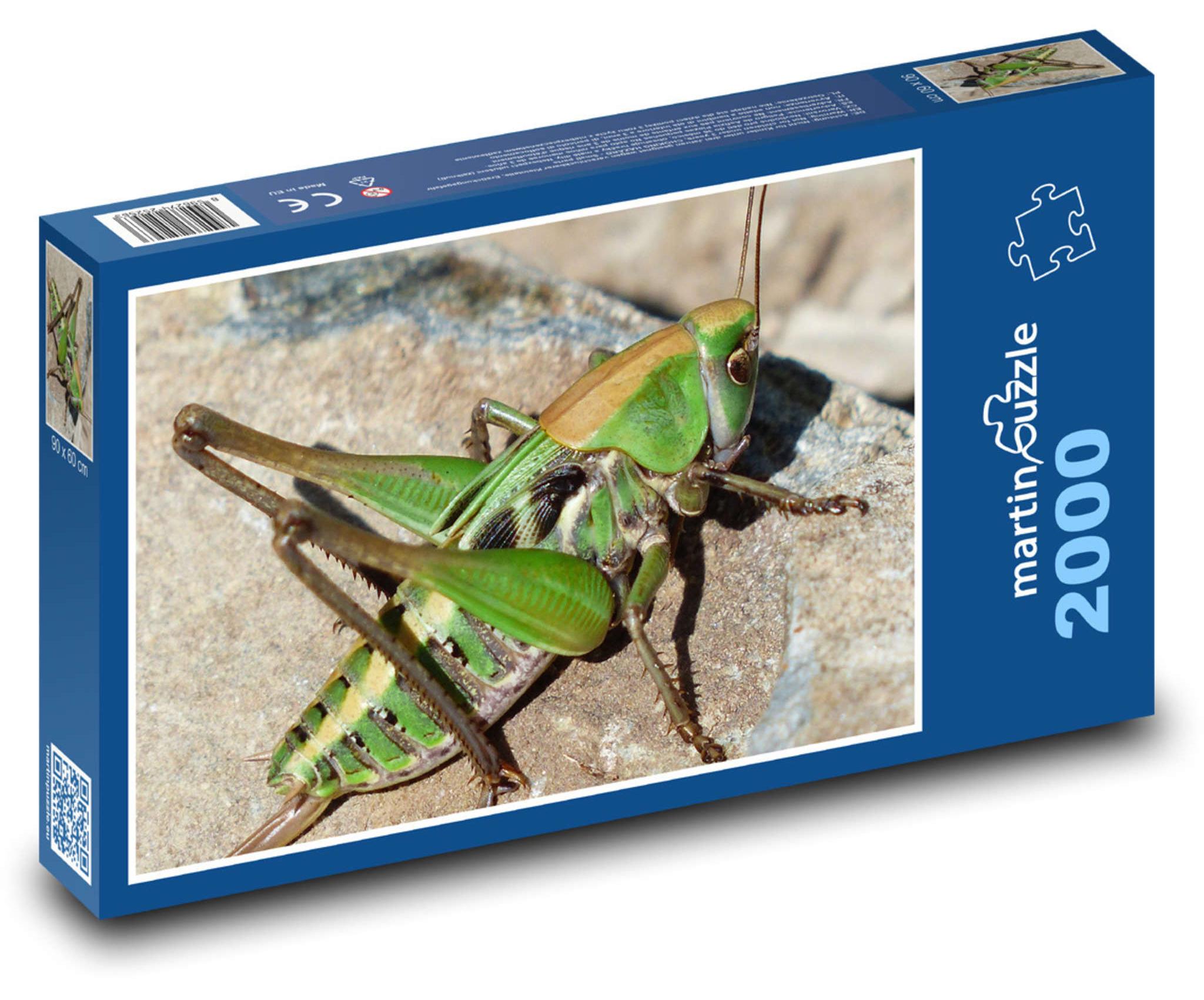 MCprint martinpuzzle - Puzzle 2000 Teile - Heuschrecken - grüne Heuschrecke, Insekten