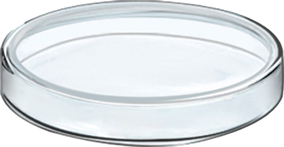 Bmen 60-100 ml Kulturschale transparent hitzebeständige umweltfreundliche professionelle Glaskulturschüssel für Labor-60 mm 2603966@brem