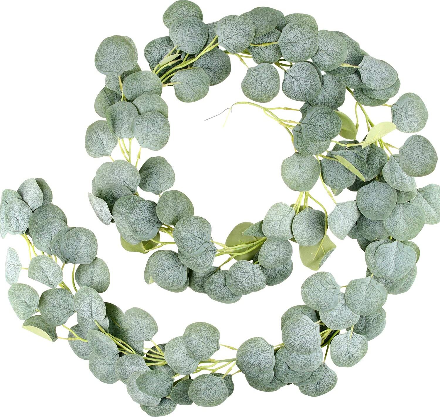 efeutute hängend oder kletternd Epipremnum pinnatum variegata main image 0