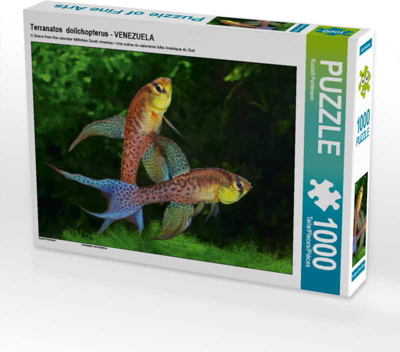 Calvendo Ein Motiv aus dem Kalender Killifische Südamerikas - Bunte Fische 1000 Teile Puzzle quer 640x480mm, Pohlmann Rudolf; 7448690