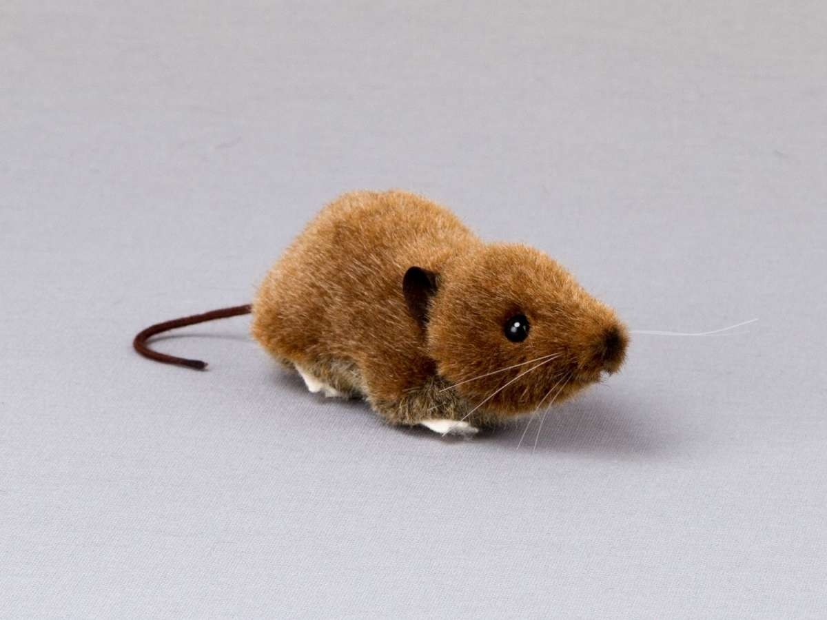 Kösen Spitzmaus 13 cm 3500