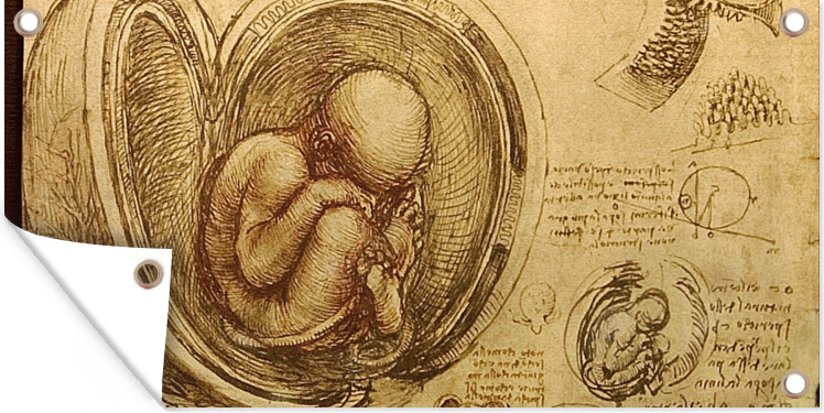 MuchoWow® 160x80 cm Outdoor-Poster Gartendeko Sichtschutz Garten Poster für den Garten Baby im Mutterleib - Leonardo da Vinci 133|313186550