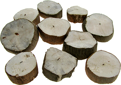 SELVA Holundermark-Scheiben Set