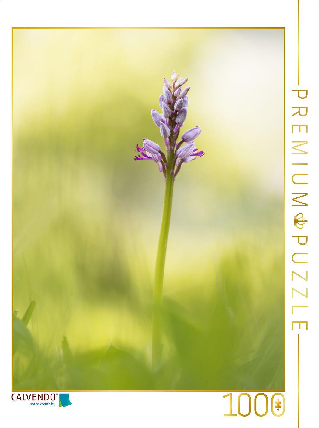 CALVENDO Puzzle Helm-Knabenkraut 1000 Teile Puzzle hoch | 1000 Teile Lege-Größe 64x48cm Foto-Puzzle für glückliche Stunden
