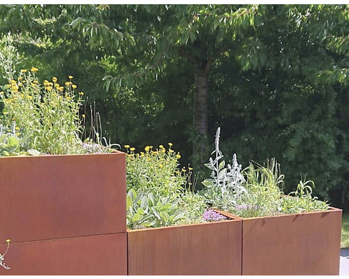 Pflanzgefäß Palatino Solis 480 x 50 x 183 cm braun A17096