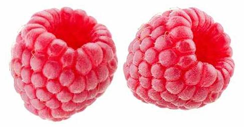 Blumen-Senf Himbeere Aroma-Queen - Rubus idaeus Aroma Queen 60-70 cm Rubus idaeus 'Aroma Queen'