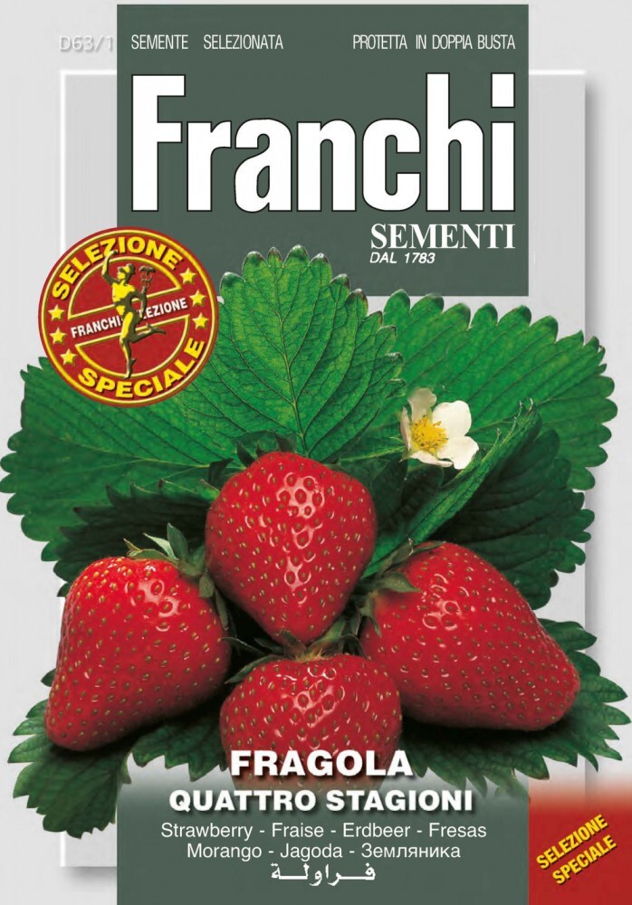 Erdbeere Quattro Stagioni | Erdbeersamen von Franchi Sementi DBOS63-1