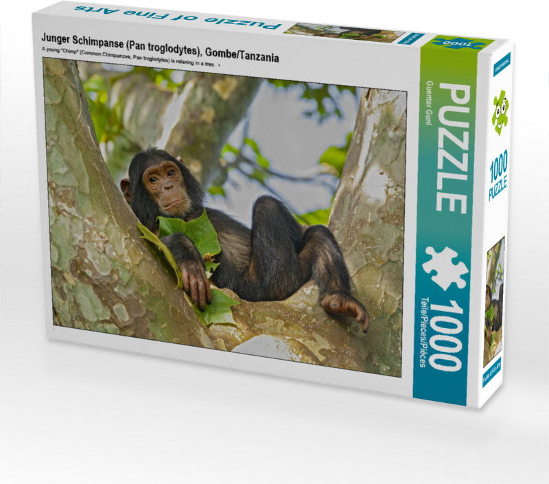 CALVENDO Puzzle Junger Schimpanse (Pan troglodytes), Gombe/Tanzania | 1000 Teile Lege-Größe 64x48cm Foto-Puzzle für glückliche Stunden
