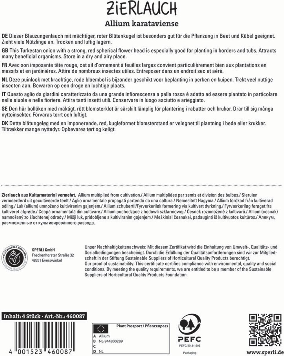 Sperli GmbH Zierlauch Red Giant Star (4 Stück) | Zierlauchzwiebeln von Sperli 460087