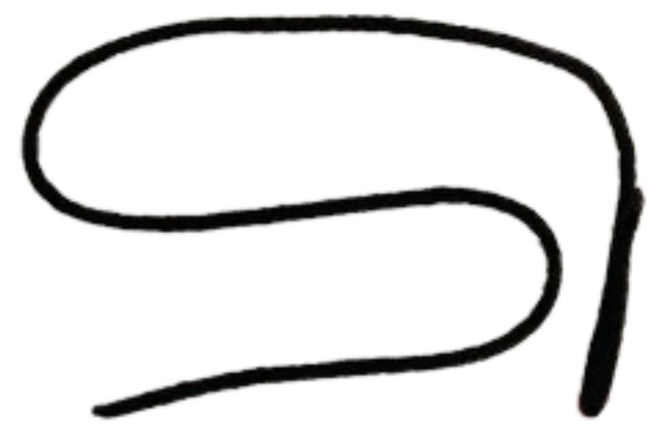 TOYOTA Yaris Gepäckraum polkage string 64306-52010 OE