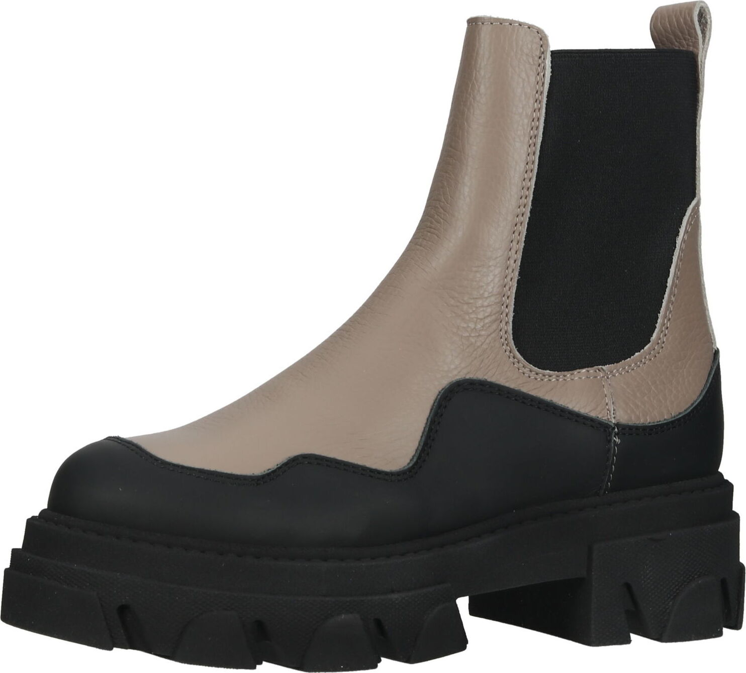 Steve Madden / Stiefelette / SM11003348