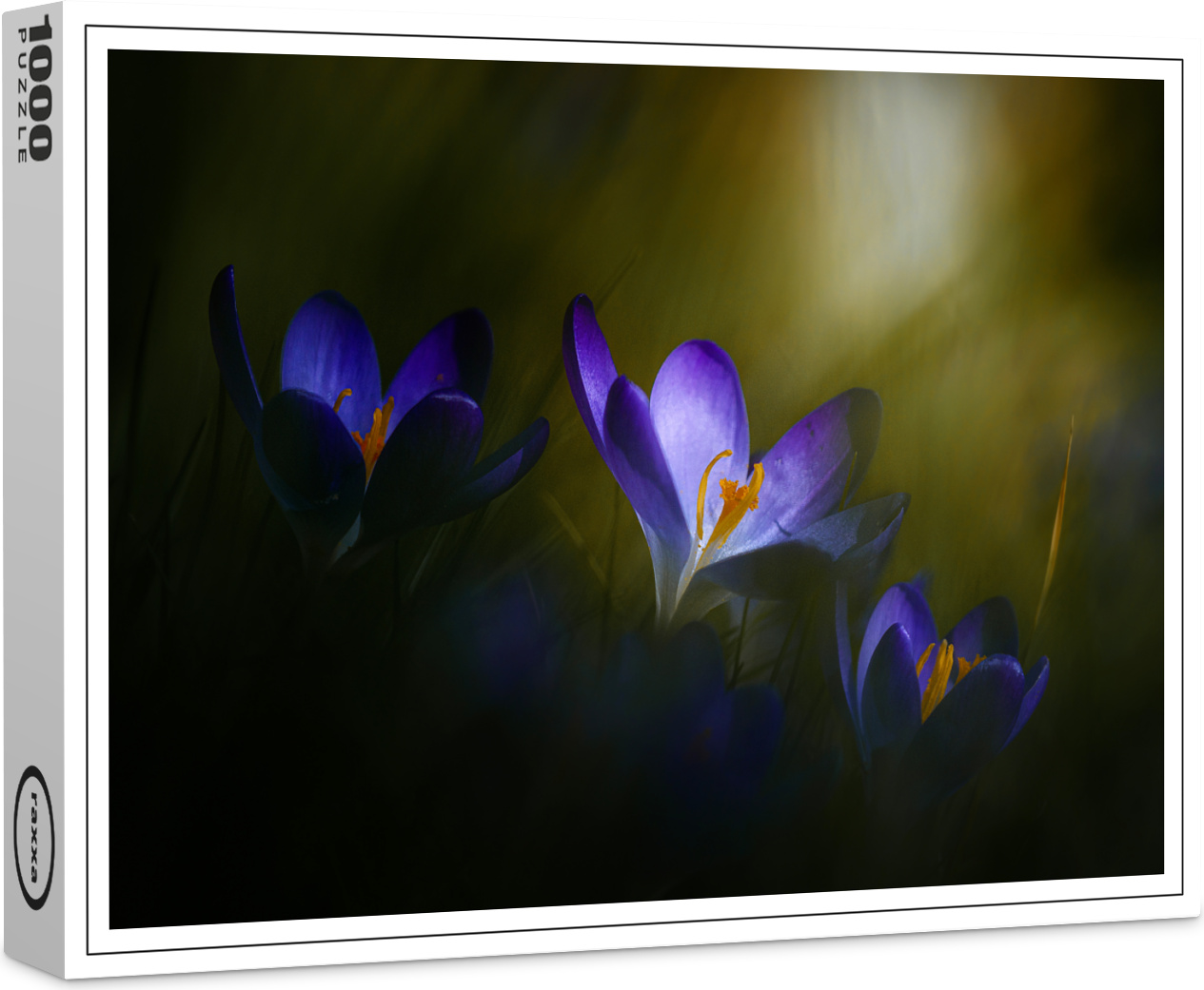 raxxa Premium-Puzzle "Krokusse", 1000 Teile 1-14270-232-13