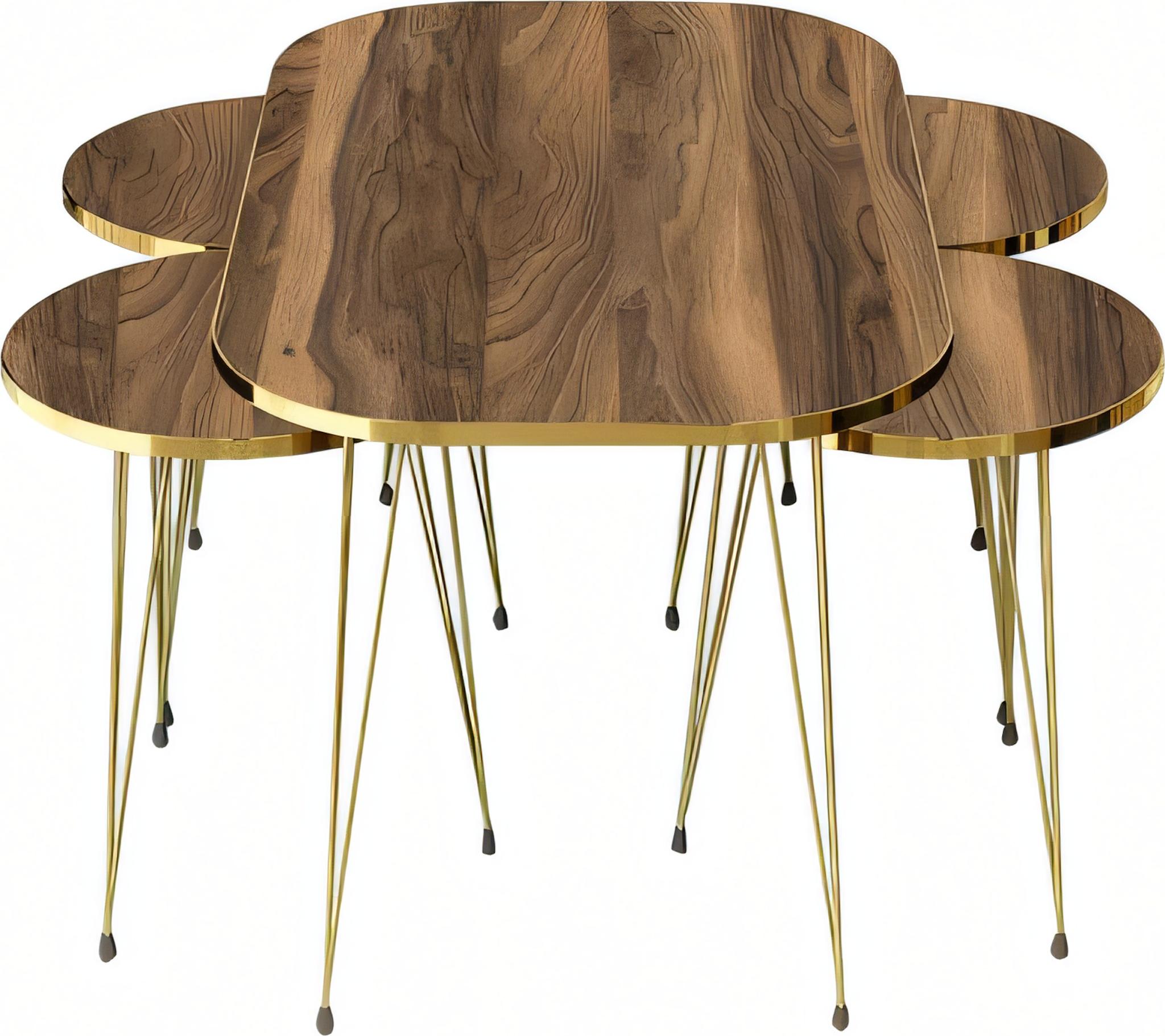 AEA Eleganter brauner Holz-Couchtisch mit Beistelltischen im modernen Stil