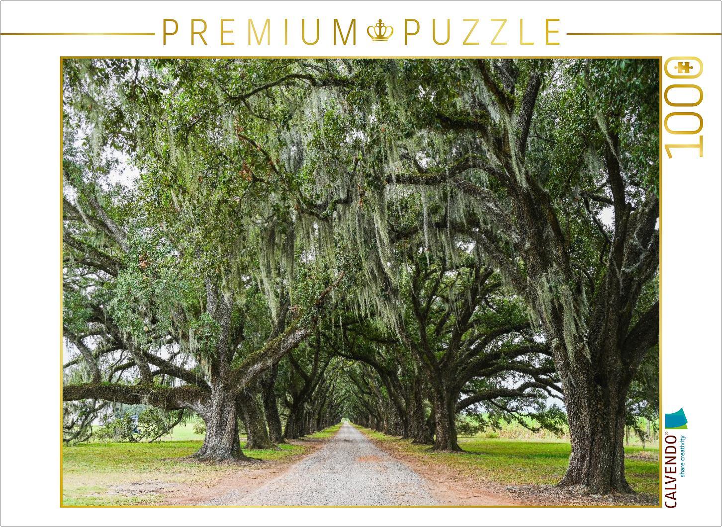 CALVENDO Puzzle Eichenallee mit Louisianamoos | 1000 Teile Lege-Größe 64x48cm Foto-Puzzle für glückliche Stunden