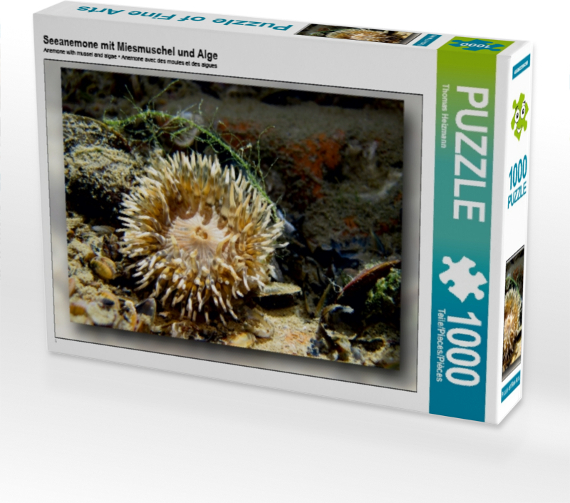 Calvendo Seeanemone mit Miesmuschel und Alge 1000 Teile Puzzle quer 640x480mm, Heizmann Thomas; 7313987