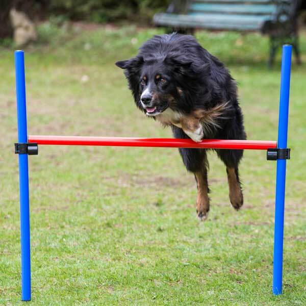 PROCYON Obedience Hürde - offen