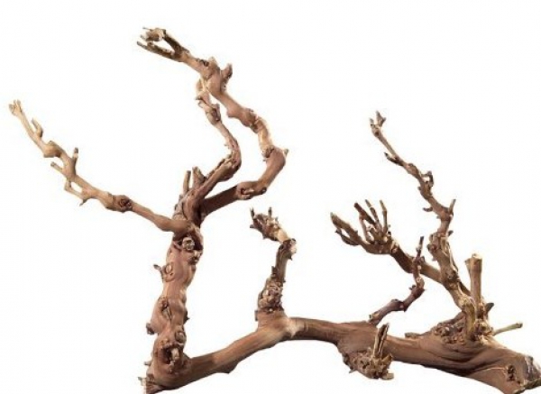 HOBBY Terraristik Weinreben Wurzel Jumbo, Fingerwurzeln, Holz, 1 Stück(e), 700 mm 34127