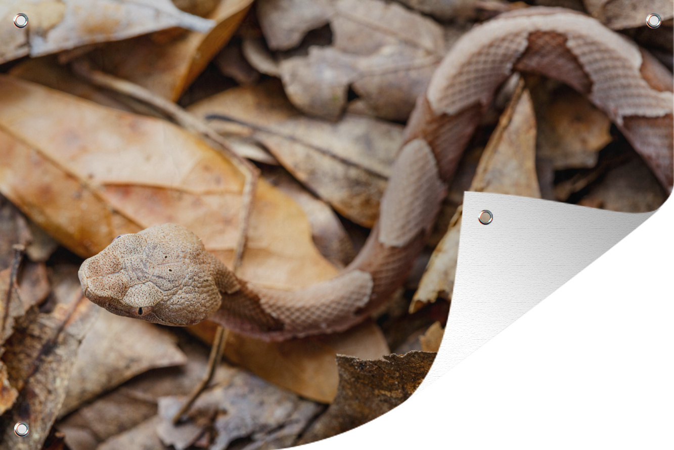 MuchoWow® 60x40 cm Outdoor-Poster Gartendeko Sichtschutz Garten Poster für den Garten Schlange - Tarnung - Blätter 133|1332720