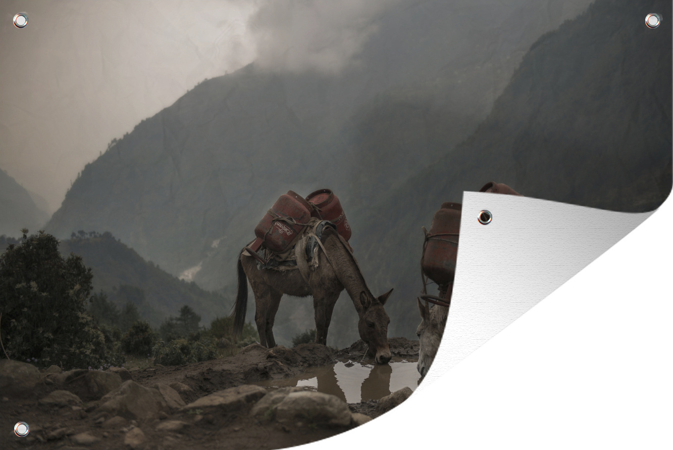 MuchoWow® 90x60 cm Outdoor-Poster Gartendeko Sichtschutz Garten Poster für den Garten Esel auf einem Bergpfad 133|1283803