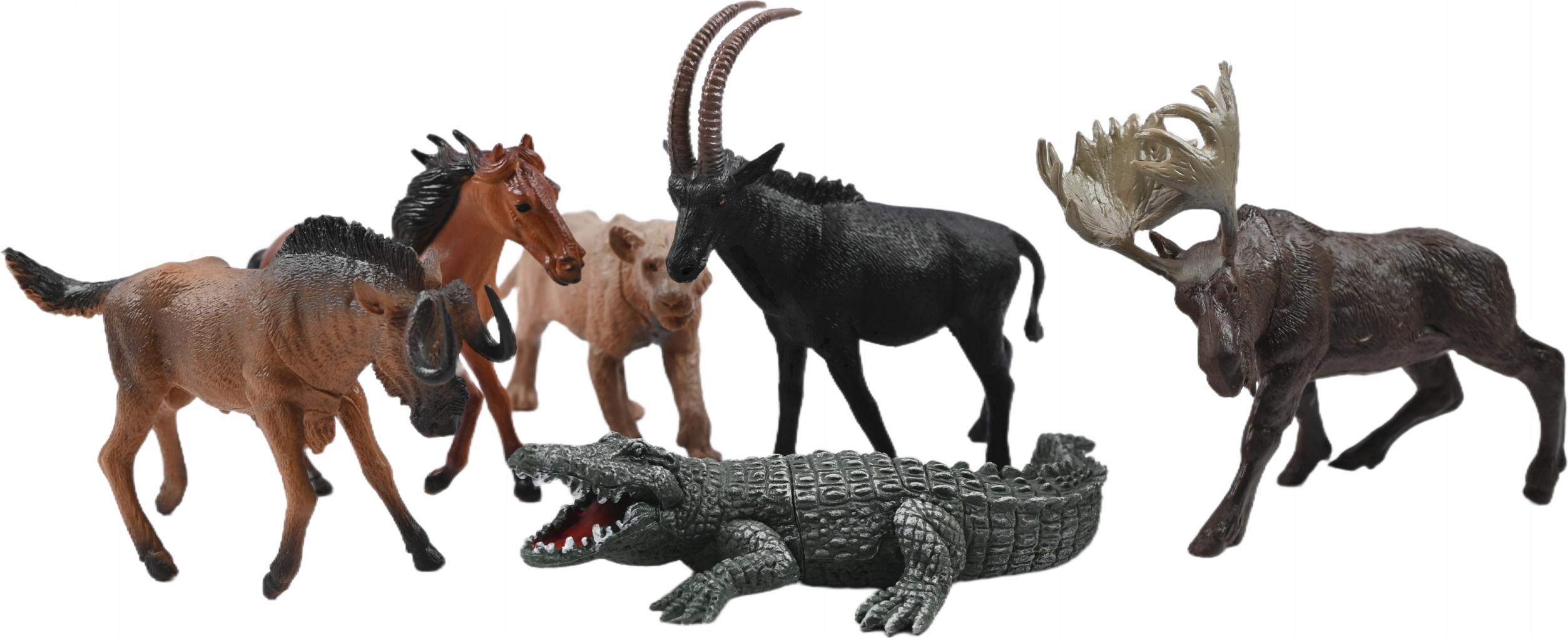 Midex Figurenset 6 Stück Grosse Figuren Wilde Haustiere Zoo Figuren