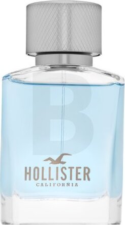 Hollister Wave For Him toaletná voda v spreji 30ml
