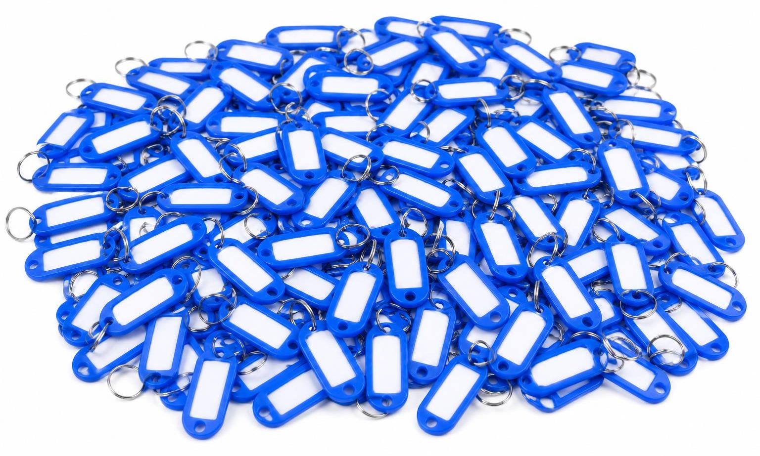 BAYLI 80er Pack Schlüsselanhänger zum Beschriften Einfarbig -Farbe Blau- Schlüsselschilder mit Ring Beschriftbar | Schlüsselring zum Beschriften | Schlüsselring Kunststoff mit auswechselbaren Etiketten 80x Schlüsselanhänger zum Beschriften