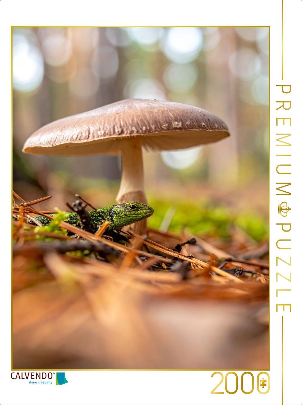 CALVENDO Puzzle Schirmpilz und Eidechse | 2000 Teile Lege-Größe 90x67cm Foto-Puzzle für glückliche Stunden