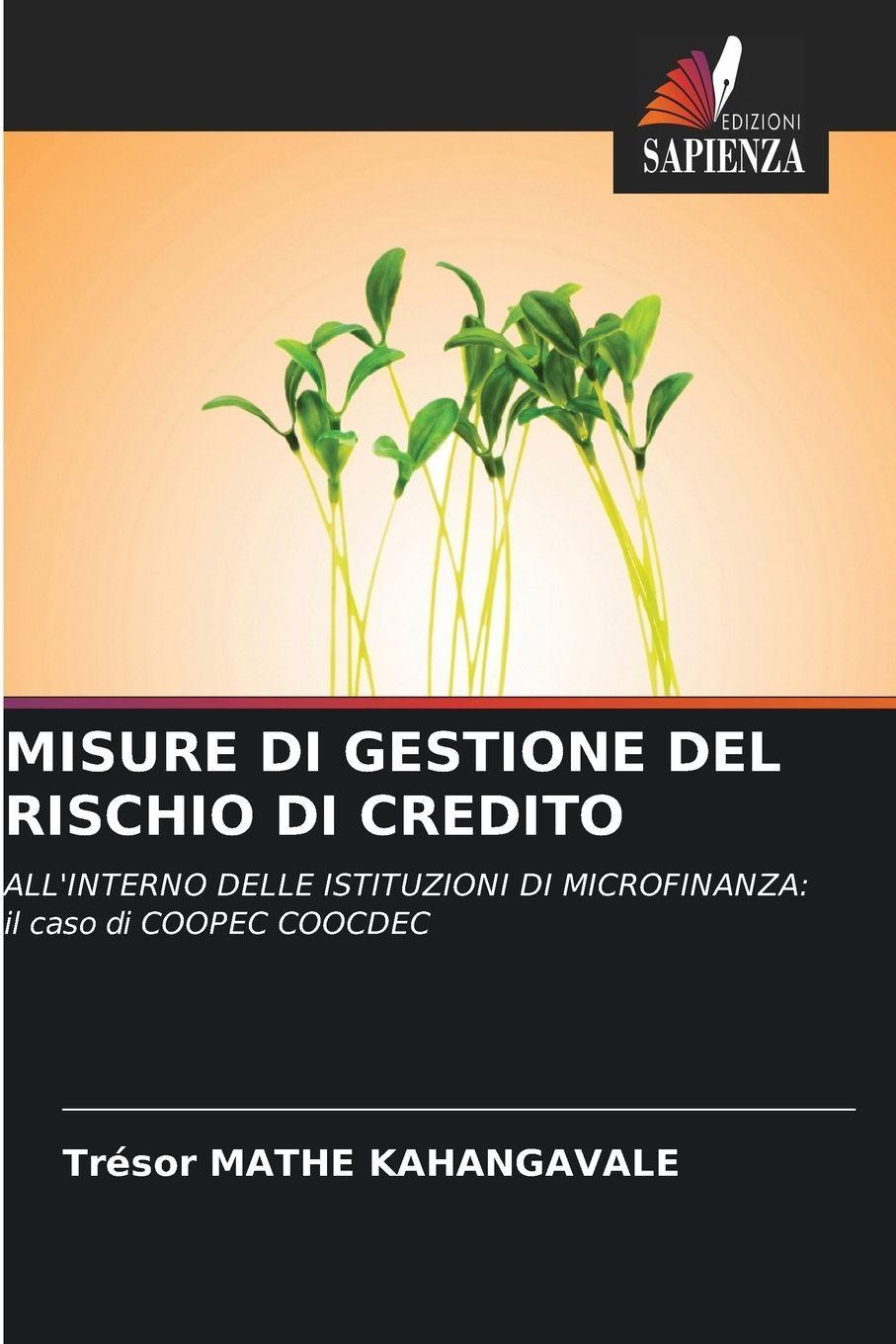 Edizioni Sapienza Massnahmen Zum Kreditrisikomanagement