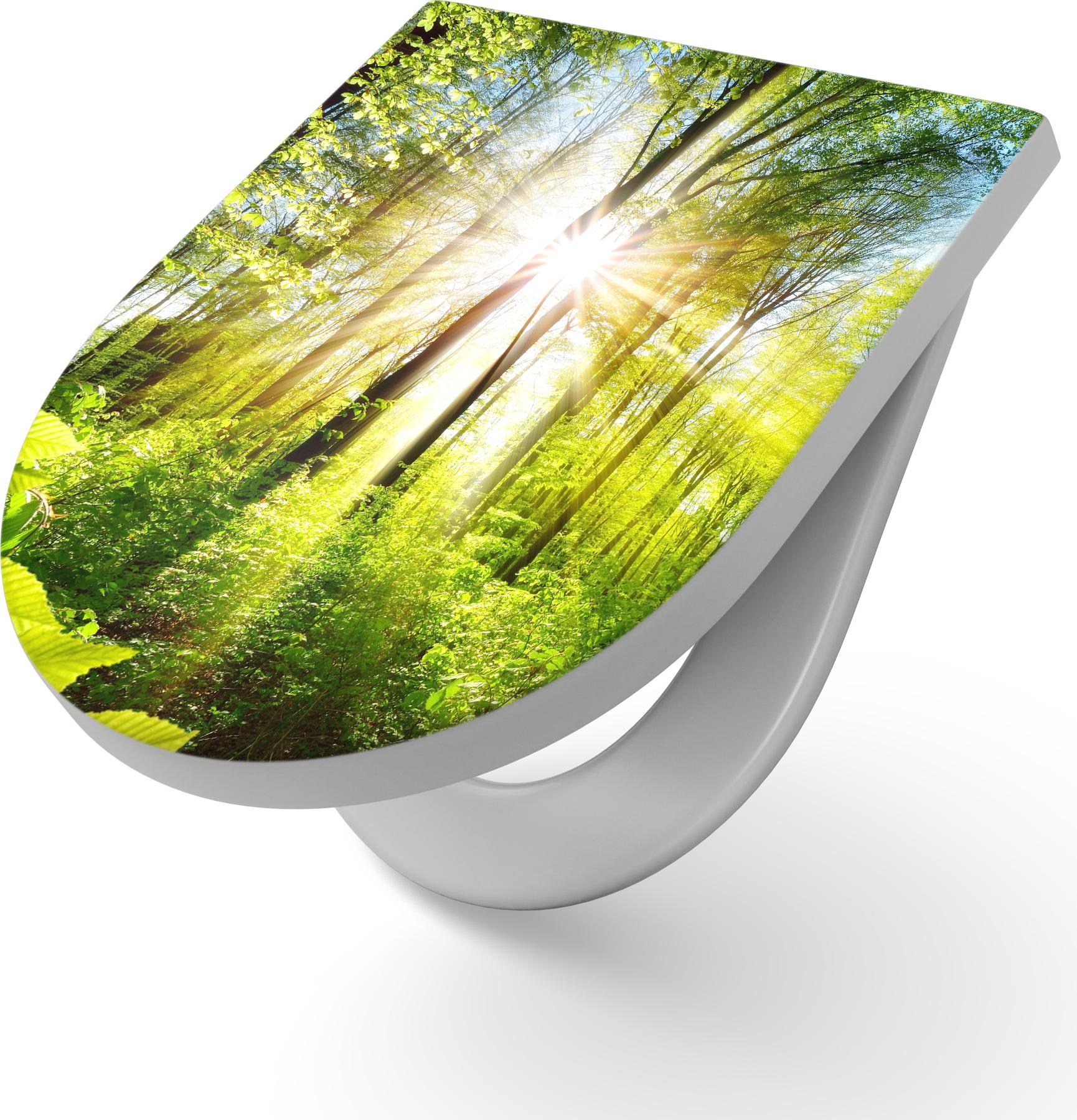 DEQORI WC-Sitz Duroplast 36,4x45,4 cm 'Licht durchdringt Bäume' Toilettensitz WC-Brille TS-36-45-SC-W-2011-UV