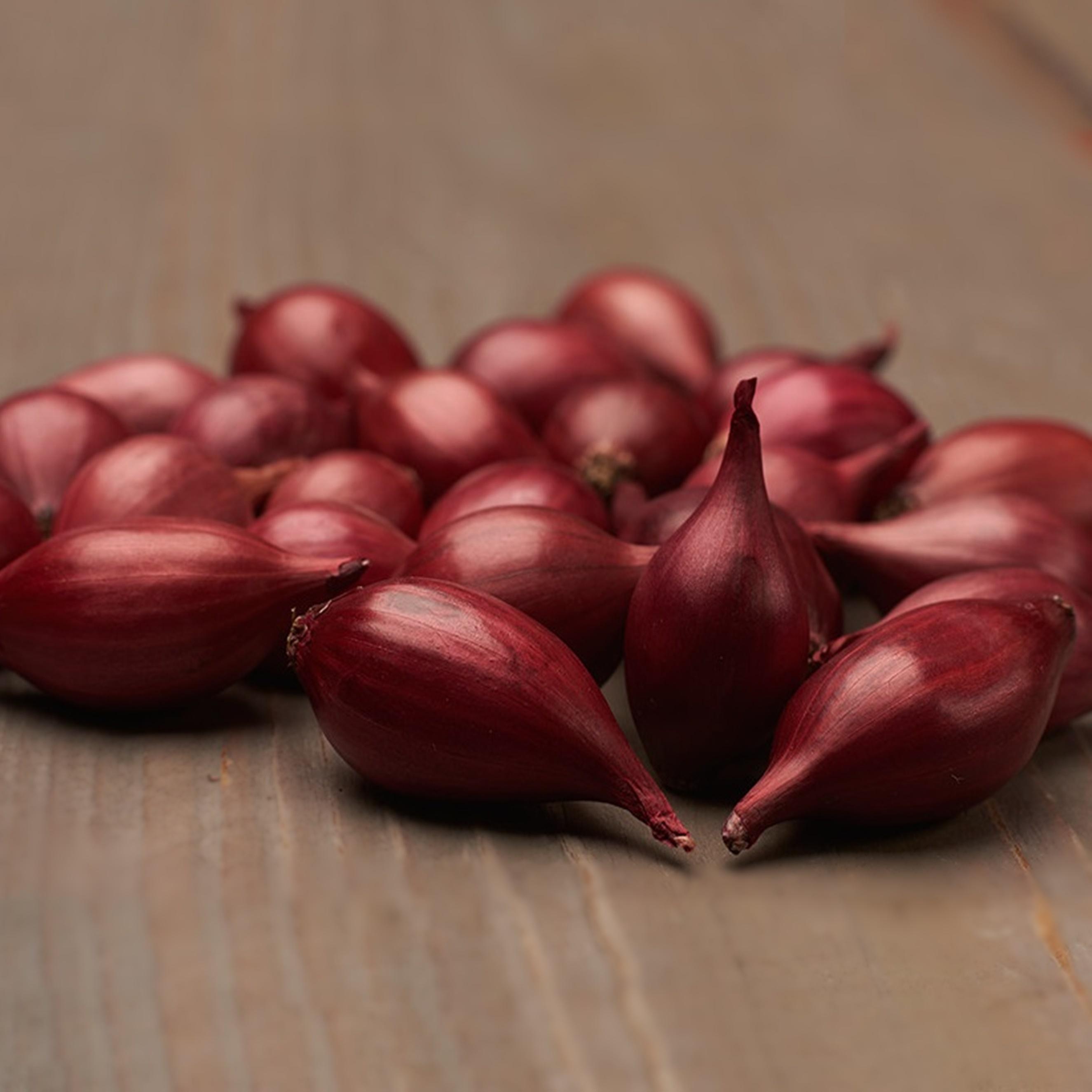 Benex Steckzwiebel Zwiebel Red Baron rot gesund lecker Größe 8-21 0,25 Kg