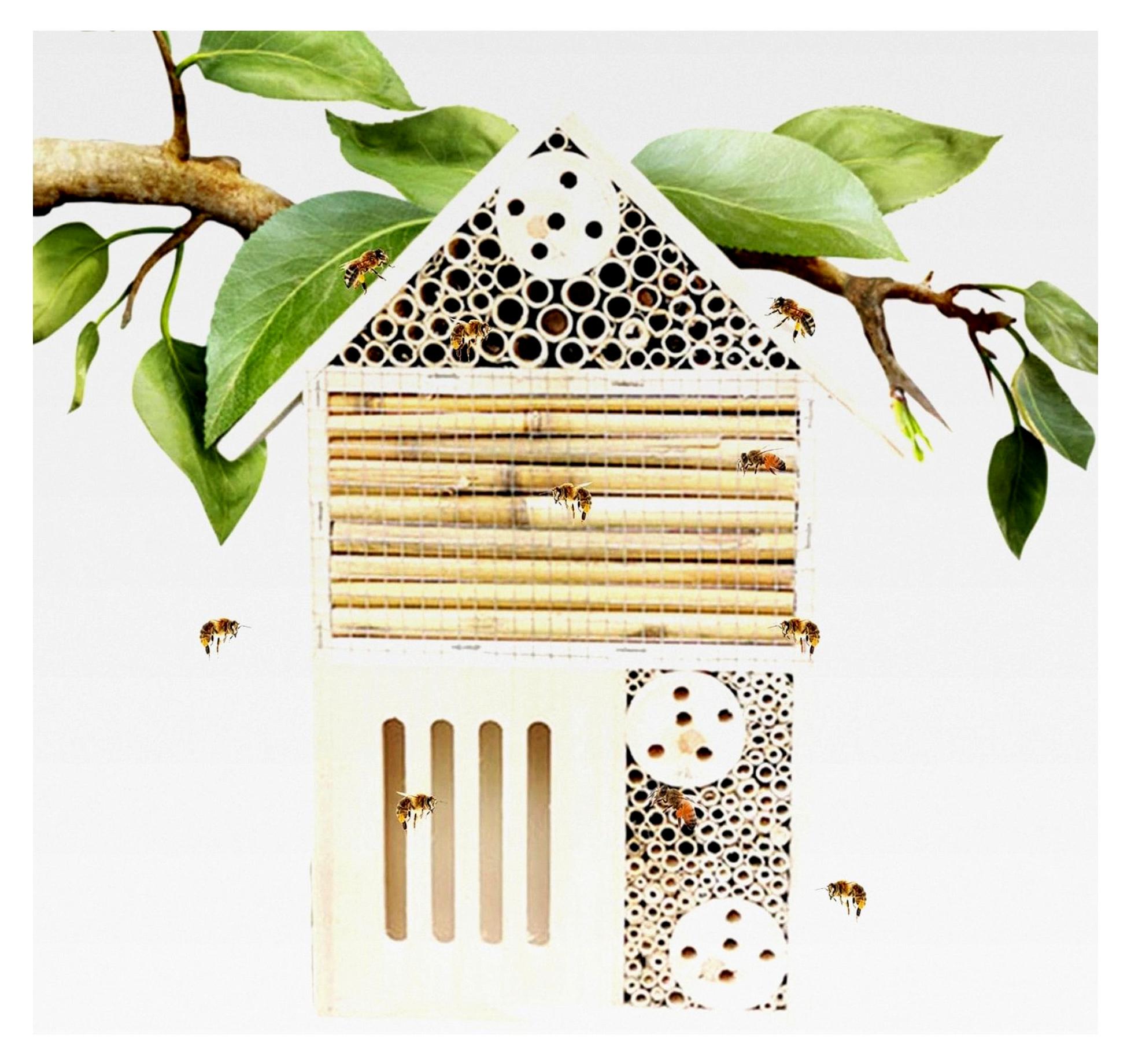 Markenlos Bienenhäuser für den Garten, Maurerbienenhaus leer, natürliches Schmetterlingshotel