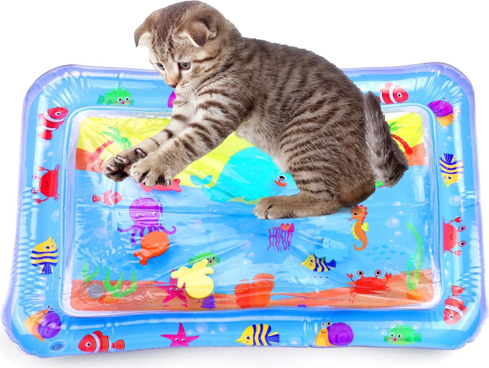 Sensorische Wasser Spielmatte Für Katzen - Sommer Spielzeug Kühlmatte 69x50cm