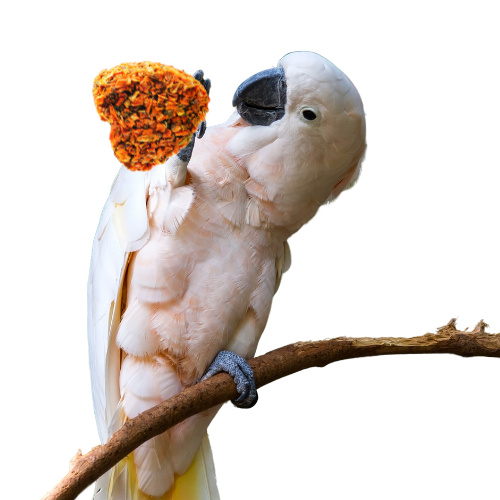 HAM-STAKE Herz mit Karotte - mit Liebe zubereitete Köstlichkeiten für alle Papageien