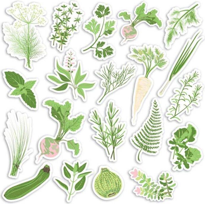 TOGA 20 Die-Cuts aus Papier - Gemüsegarten 4282