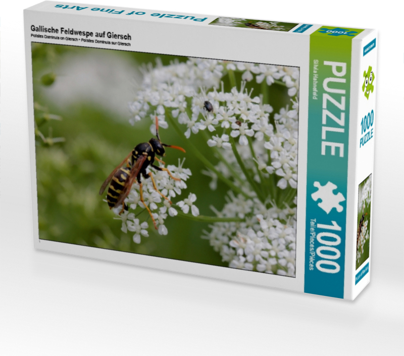 Calvendo Gallische Feldwespe auf Giersch 1000 Teile Puzzle quer 640x480mm, Hahnefeld Silvia; 7291463